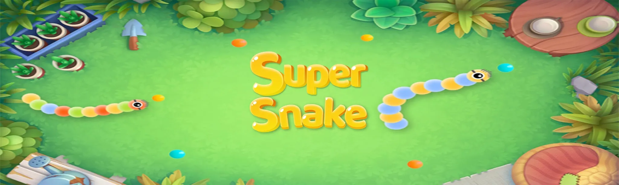 SuperSnake