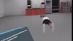 AED Use Training - ContentsDA screenshot 3