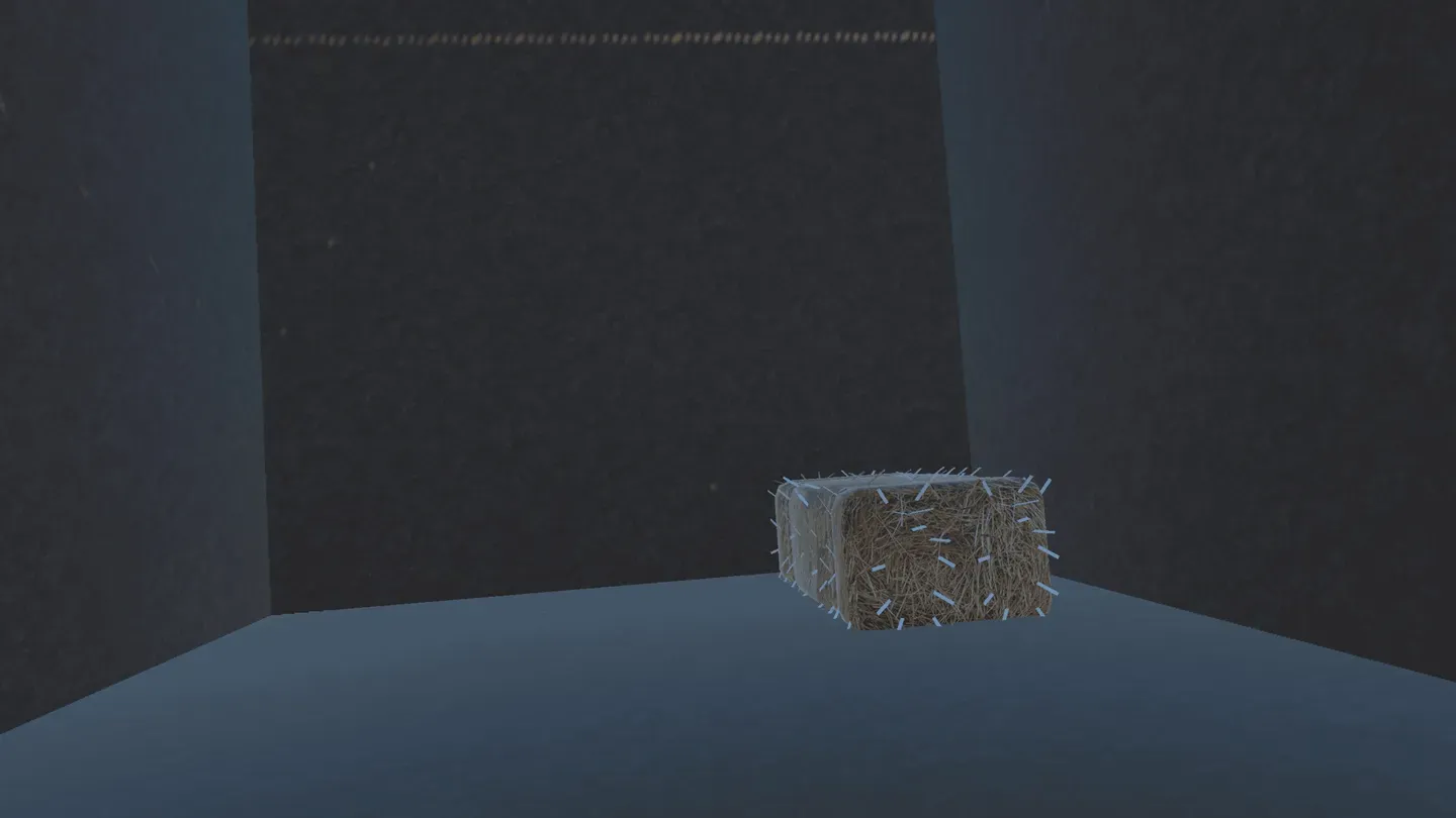 Nugget Projectㅤ cover image