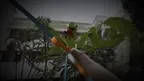 DripBeaks screenshot 1