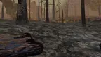 Forest Fire Regrowth screenshot 1