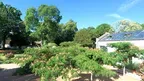 VR Relaxing – Over the Silk Tree Bloom screenshot 4