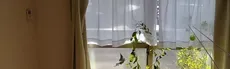 Avian Adventure MR hero image