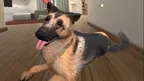 My puppy: Shepherd screenshot 4