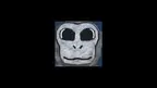 Local Chimps screenshot 1