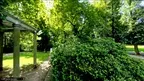 Walk in the Park 360° screenshot 1