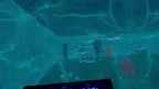Virtual Aquarium screenshot 5