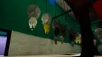 Alpaca Party screenshot 3