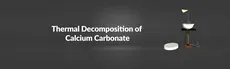 Thermal Decomposition of Calcium Carbonate hero image