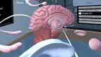 Human Brain Time screenshot 3