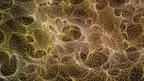 Cosmic Sugar screenshot 5