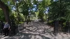 NYC Washington Square Park Virtual Reality screenshot 0