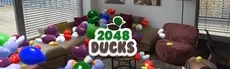 2048 Ducks hero image