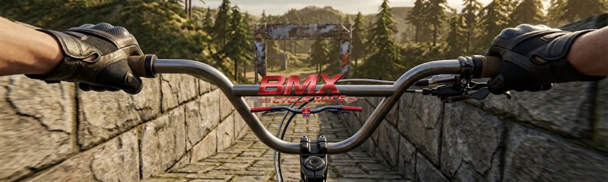 BMX Cycle Race