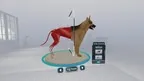Veterinary Anatomy and Physiology screenshot 5