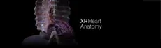 XR Heart Anatomy hero image