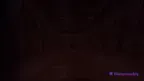 ScaredMonkeysVR screenshot 1