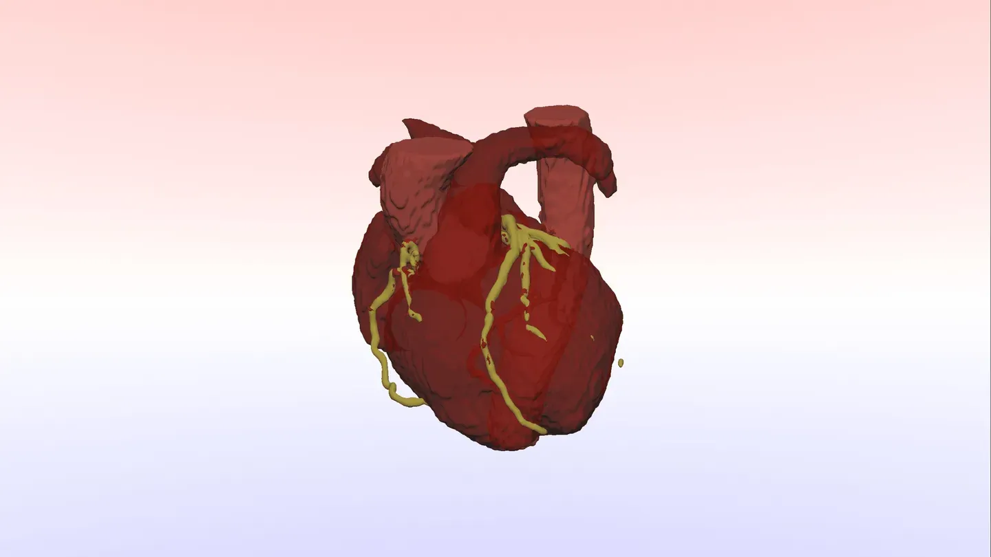 Anatomy Cloud Viewer cover image