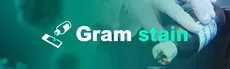 Gram stain hero image