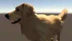 My puppy: Golden Retriever screenshot 0