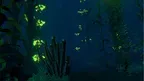DeepSee VR screenshot 3