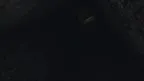 Moga. screenshot 3