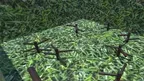 Prism Taggers screenshot 4
