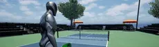 Pickle Ball Star hero image