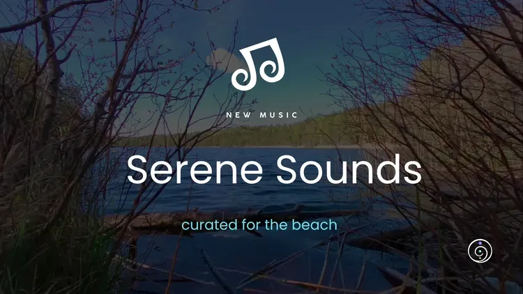 Developer update image for Calming Music Tracks for Ultra Relaxation