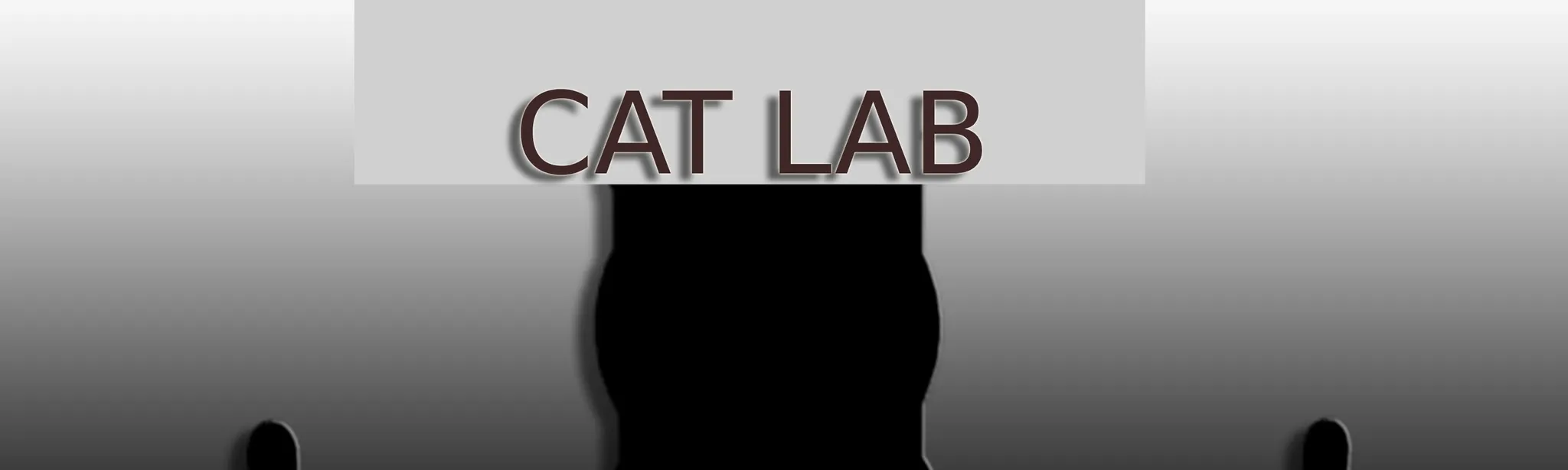 Cat Lab