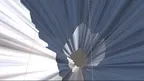 i like cats! screenshot 4
