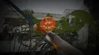 DripBeaks screenshot 4