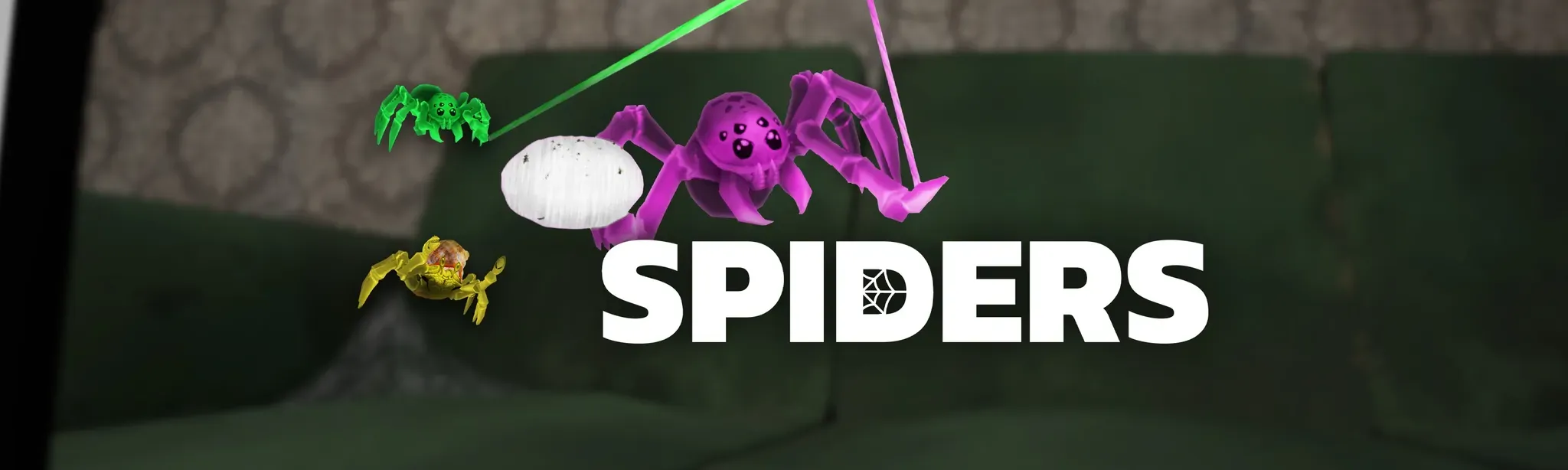 Spiders