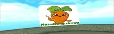 Harvesting carrot hero image