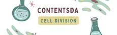 Cell Division Experiment - ContentsDa Science Experiment hero image