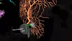 NeuronViewerVR screenshot 4