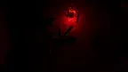 Shiver Vr screenshot 2