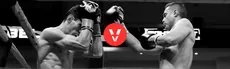 Vantage hero image