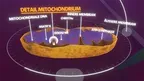 Body Cell VR screenshot 3