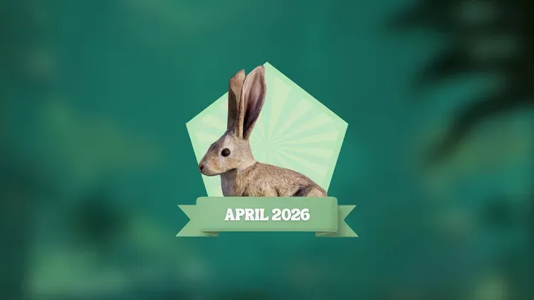 Developer update image for April Challenge: Spring into Fitness 🌻