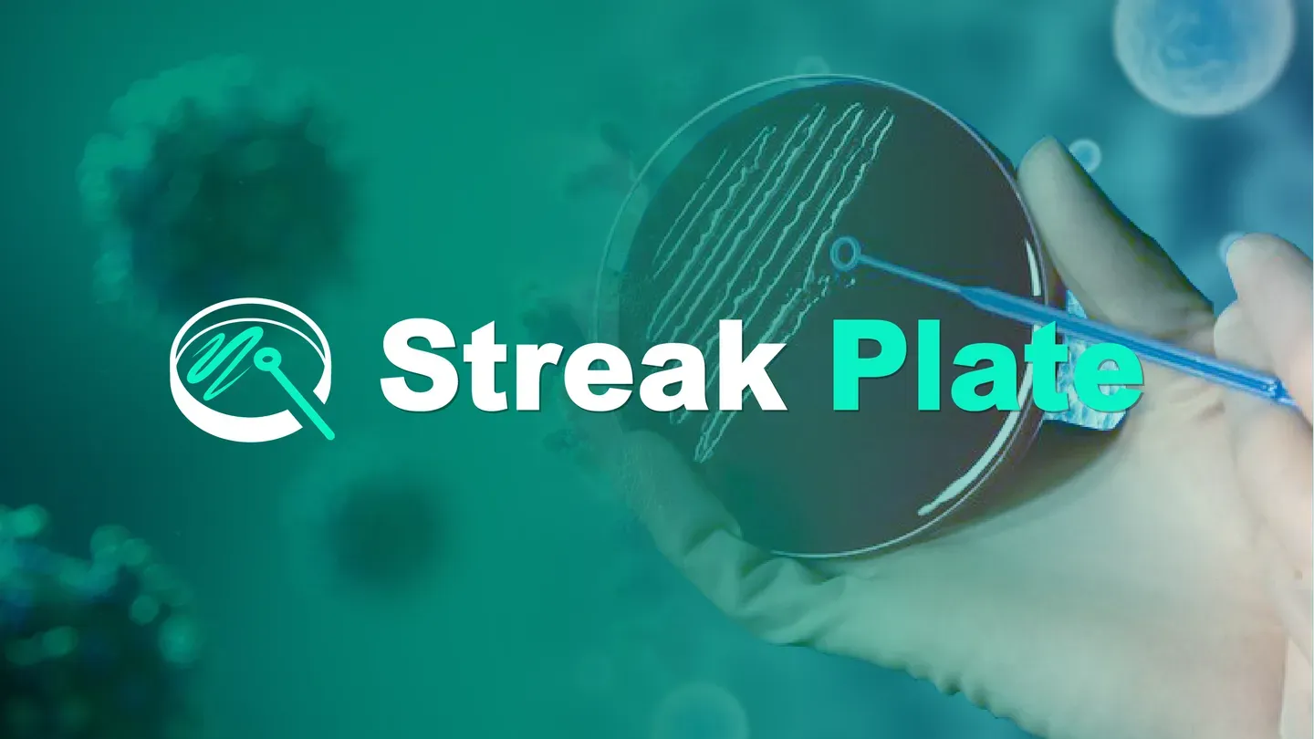 Streak Plate trailer 0