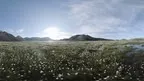 Flow Meditation screenshot 2