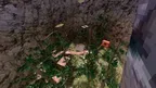 Fall Taggers screenshot 0