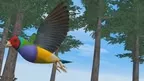 Relax With Bird screenshot 5