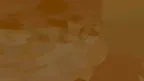 Nixon's Place screenshot 0
