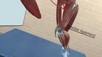 VET VR Anatomy Demo screenshot 3