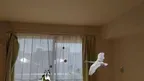 Avian Adventure MR screenshot 1