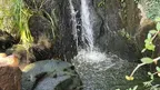 Calm VR: Japanese Garden Wellness Escape screenshot 4