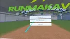 Runmaka Cricket screenshot 2