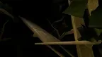 RTX Gorilla Tag Horror screenshot 0